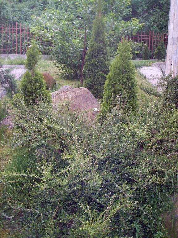 Вила на Езерото Смолян Екстериор снимка